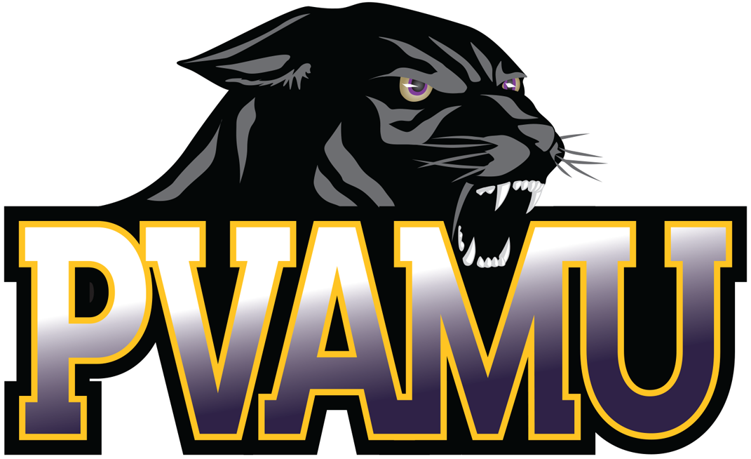 Prairie View A&M Panthers 2016-Pres Primary Logo DIY iron on transfer (heat transfer)